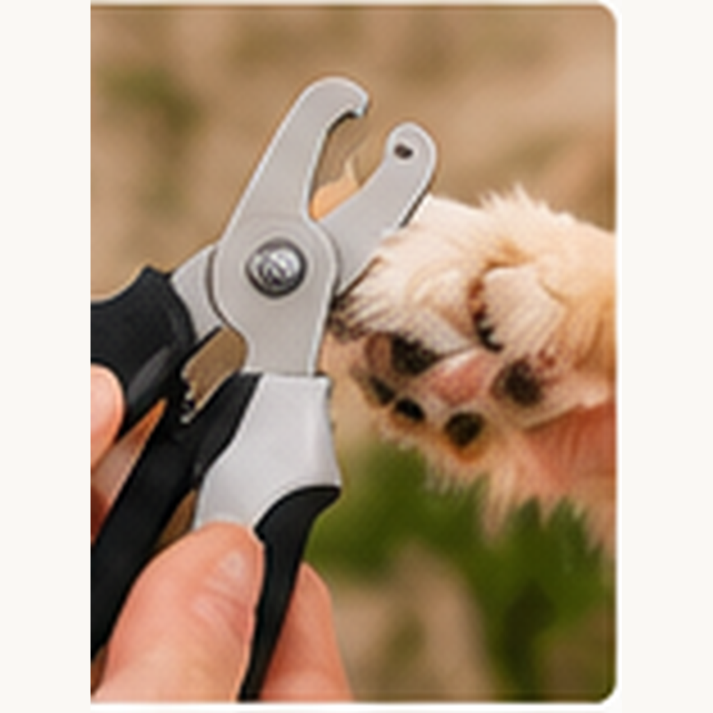 CozyWag pet nail clippers in use
