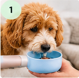 Dog using CozyWag portable water bottle
